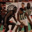 El Betis Baloncesto se descose en Torrelavega (81-76)