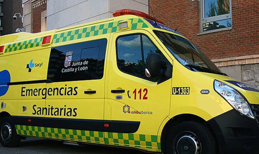 Fallece el conductor de un camión tras salirse de la vía y chocar contra un árbol en Orbaneja del Castillo (Burgos)