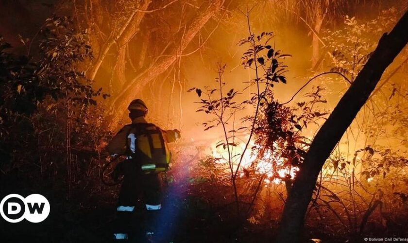 Feuer: Umweltkatastrophe in Bolivien