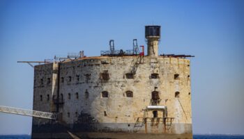 Fort Boyard : Les tigres finalement remplacés par Mathilde Panot