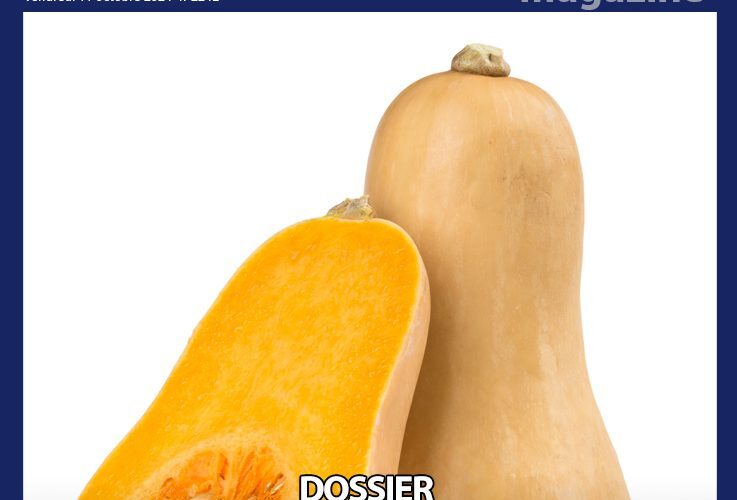 Gorafi Magazine : Dossier – 100 raisons de parler des courges butternut plutôt que de l’actu