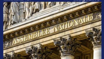 Gorafi Magazine : Les meilleurs points de deal de l’Assemblée nationale