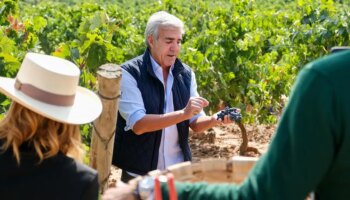 Grandes vinos en comunión con la tierra