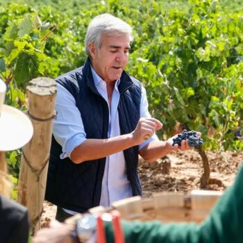 Grandes vinos en comunión con la tierra