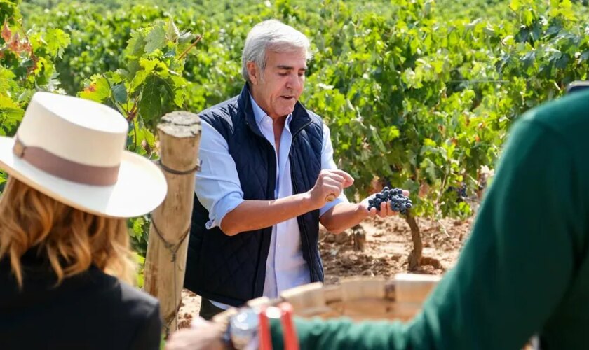 Grandes vinos en comunión con la tierra