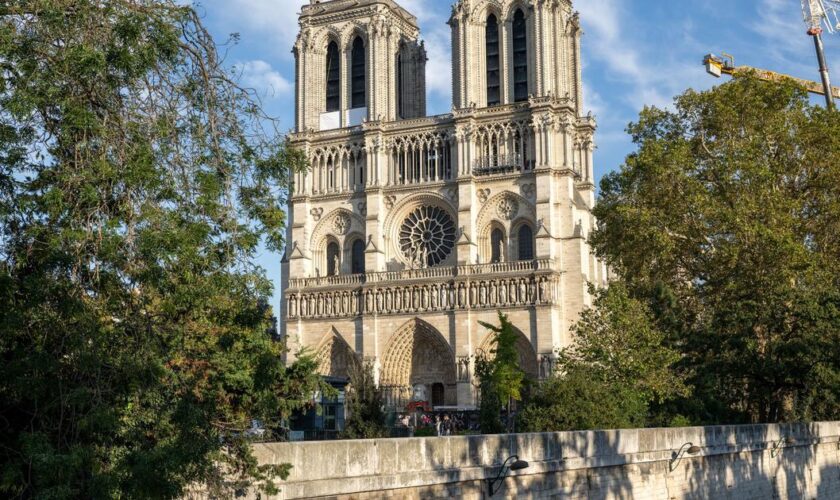 Guillaume Tabard: «La querelle de Notre-Dame aura-t-elle lieu ?»