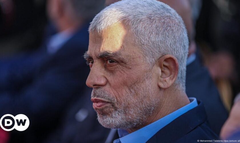 Hamas leader Yahya Sinwar killed in Gaza: Israel