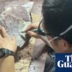 Hong Kong unearths its first ever dinosaur fossils