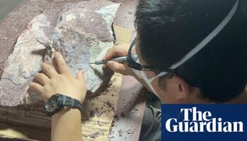 Hong Kong unearths its first ever dinosaur fossils