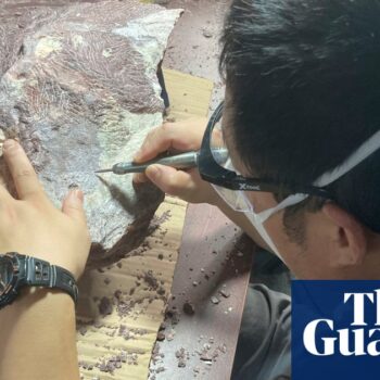 Hong Kong unearths its first ever dinosaur fossils