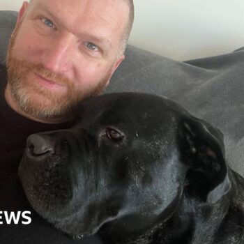 'I had to give up my dog to find a home to rent'