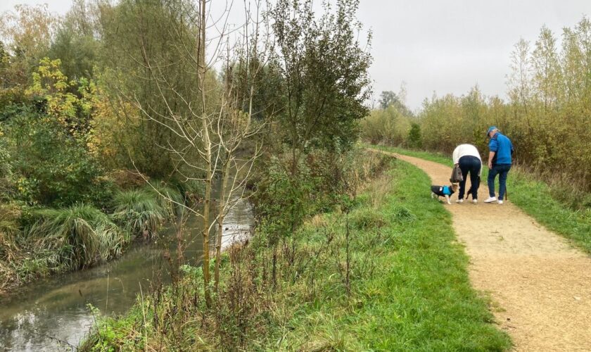 Île-de-France : contre les inondations, on restaure des rivières longtemps enfouies sous le béton