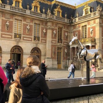 « Incroyable en vrai », le cheval métallique des JO de Paris fait sensation au château de Versailles