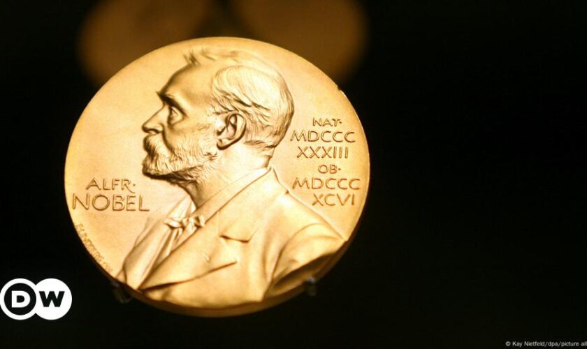 John Hopfield and Geoffrey Hinton win Nobel physics award