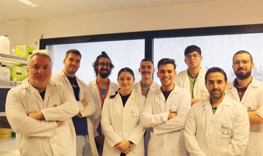 La Universidad de Córdoba (UCO) prueba el ajo negro fermentado para el cáncer de próstata