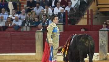 La derecha de El Cid pone cara la feria con un buen toro de La Palmosilla