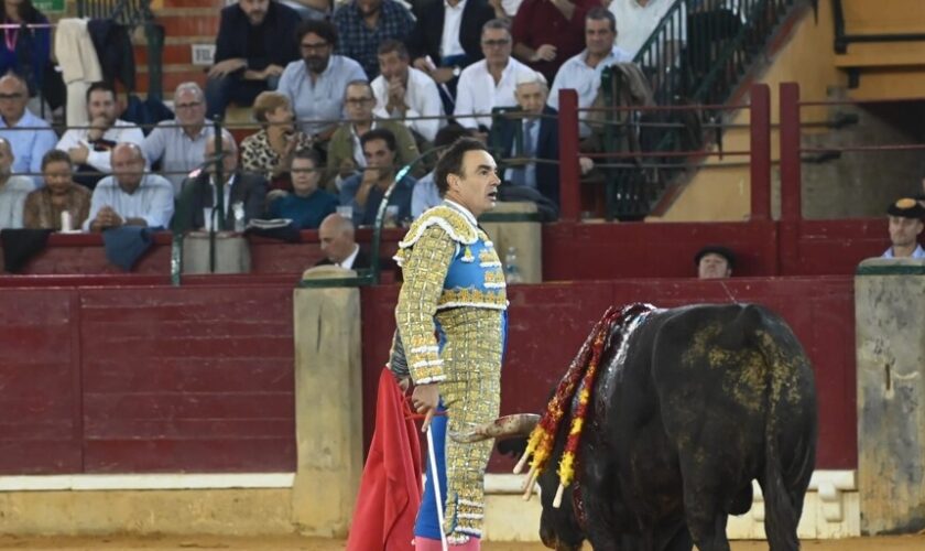 La derecha de El Cid pone cara la feria con un buen toro de La Palmosilla