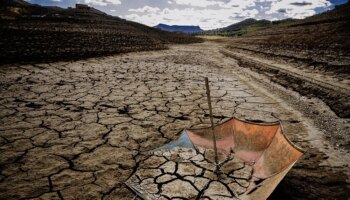 La mala gestión del agua y la crisis climática ponen en riesgo el 50% de la producción alimentaria mundial