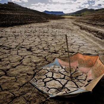 La mala gestión del agua y la crisis climática ponen en riesgo el 50% de la producción alimentaria mundial