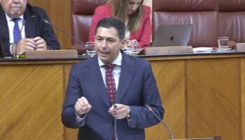 La portavoz del PSOE y el coordinador parlamentario se desmarcan de las críticas de Mario Jiménez a Juan Espadas