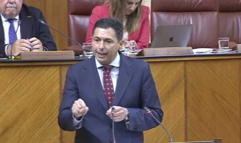 La portavoz del PSOE y el coordinador parlamentario se desmarcan de las críticas de Mario Jiménez a Juan Espadas