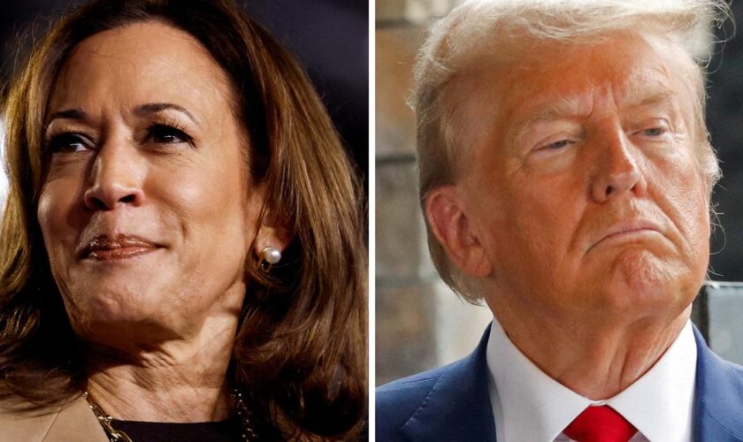 Lauric Henneton : «Kamala Harris ne semble pas creuser l'écart avec Trump, ce qui est préoccupant pour elle»