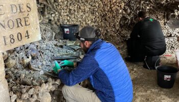 Les catacombes se refont une beauté : « On aimerait que les Parisiens se réapproprient le site »