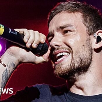 Liam Payne: Boy band star who had the X factor