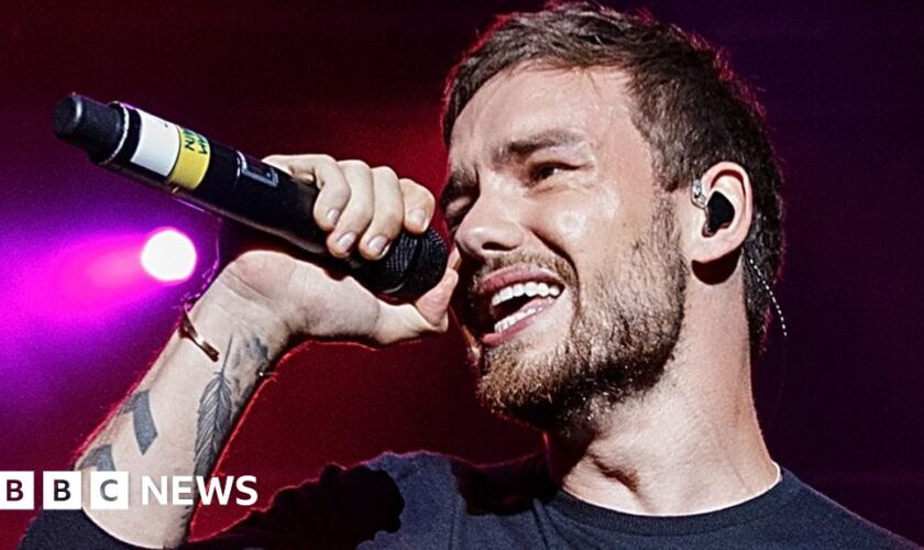 Liam Payne: Boy band star who had the X factor