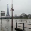 Limiter la hauteur des crues dans le Bassin parisien, c’est possible grâce à la nature