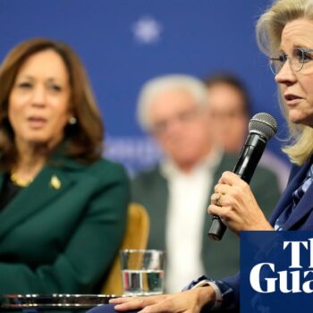 Liz Cheney urges conservatives to back Kamala Harris over abortion