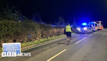 Multiple ambulances at scene as two trains crash