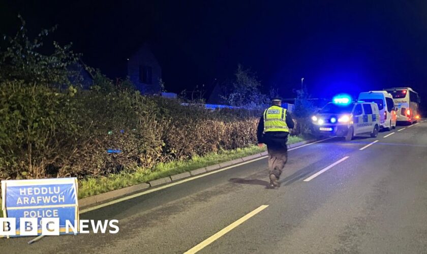 Multiple ambulances at scene as two trains crash