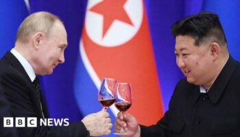 N Korea's Kim calls Putin 'closest comrade' in birthday message