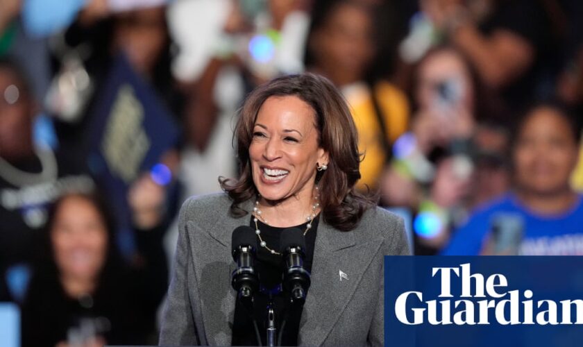 No Labour wrongdoing in Kamala Harris campaign row, says ex-Tory minister