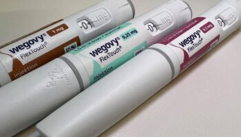 Novo Nordisk veut séduire les patients français avec le Wegovy, son médicament antiobésité