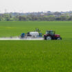 Pesticides en plaine d’Aunis : la Chambre d’agriculture de Charente-Maritime réclame « une étude scientifiquement reconnue »