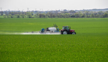 Pesticides en plaine d’Aunis : la Chambre d’agriculture de Charente-Maritime réclame « une étude scientifiquement reconnue »