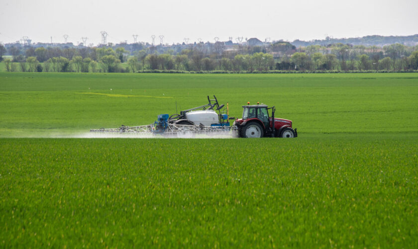 Pesticides en plaine d’Aunis : la Chambre d’agriculture de Charente-Maritime réclame « une étude scientifiquement reconnue »