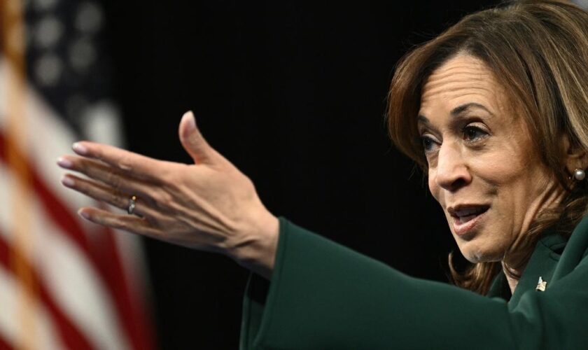 Présidentielle américaine: à Dearborn, la communauté arabe menace de «punir» Kamala Harris