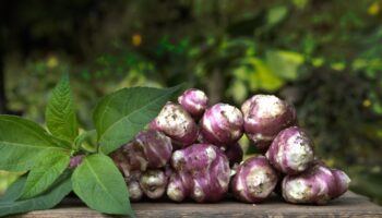 Recettes d’automne : 8 façons de ne pas cuisiner le topinambour