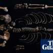 Remains of man whose death was recorded in 1197 saga uncovered in Norway