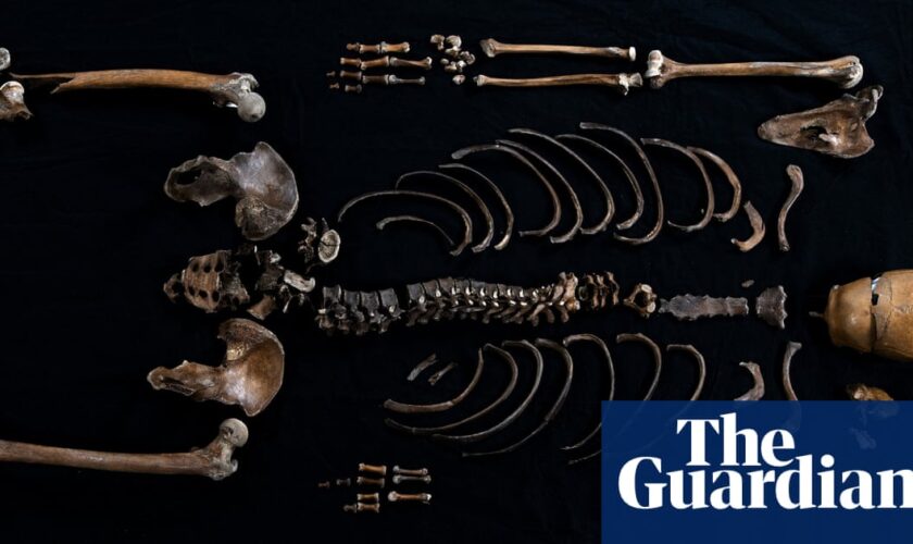 Remains of man whose death was recorded in 1197 saga uncovered in Norway