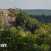 Researcher finds lost city in Mexico jungle by accident