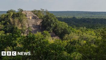 Researcher finds lost city in Mexico jungle by accident