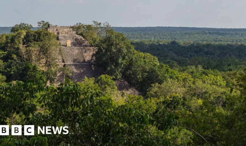 Researcher finds lost city in Mexico jungle by accident