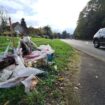 Saint-Brice-sous-Forêt : qui a fauché Sekna, 65 ans, mortellement percutée par un véhicule ?