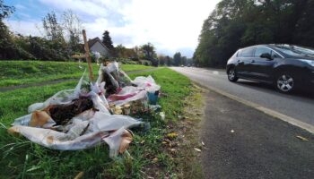 Saint-Brice-sous-Forêt : qui a fauché Sekna, 65 ans, mortellement percutée par un véhicule ?