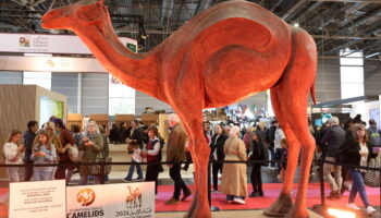 Salon du chocolat et de la pâtisserie à Paris Expo : offrez-vous un tour du monde particulièrement gourmand !