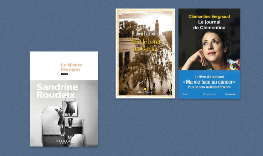 Sandrine Roudeix, Ruben Barrouk, Clémentine Vergnaud… Notre sélection livres de la semaine